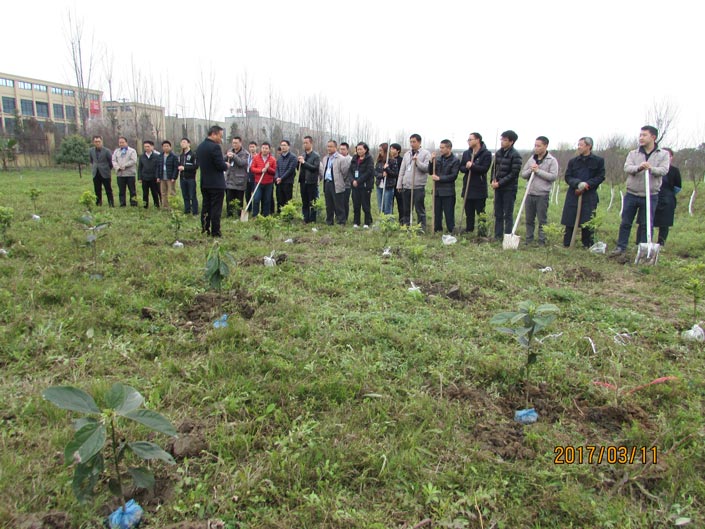 恒峰g22·(中国游)最新官方网站